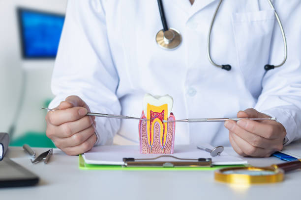 Best Emergency Tooth Extraction  in Scottsville, KY